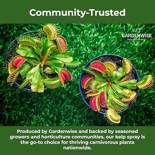 100% Organic Marina Mist Carnivorous Plant Food | Liquid Kelp Foliar Spray for Plants - Kelp Fertilizer for Venus Flytraps, Sundew, Butterworts, Pitcher Plants 16 Oz