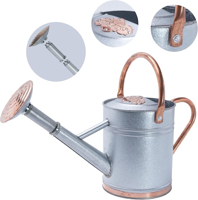 1 Gallon Galvalume Metal Watering Can with Solid Brass Sprout, Handle & Base Trim - Genuine Forged Copper Joints for Indoor/Outdoor Plants, Garden, Balcony for Kids and Adults (Stardust & Vermilion)