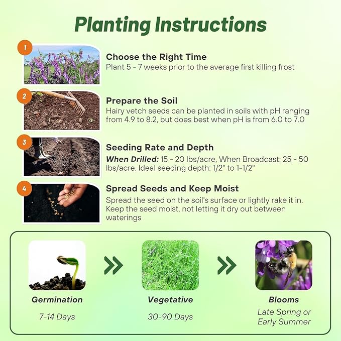 Outsidepride Hairy Vetch Cover Crop Seeds - 5 Lbs Cold Tolerant, Winter Hardy - Ideal for Soil Improvement, Green Pasture, Hay & Livestock Forage - Pollinator Friendly Garden Seeds, Ground Cover