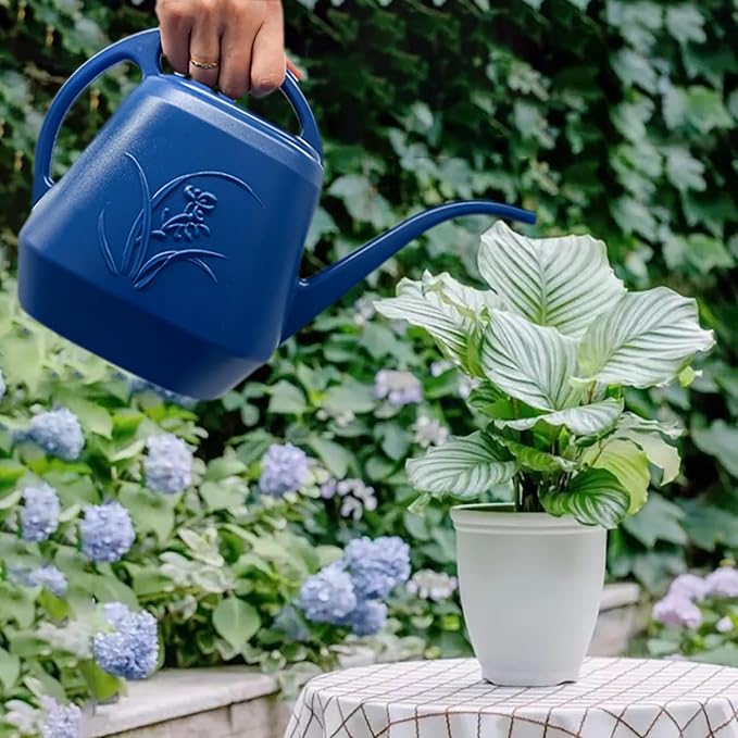 Plant Watering Can - 1 Gallon - Blue - with Long Spout for Indoor and Outdoor Plant Garden