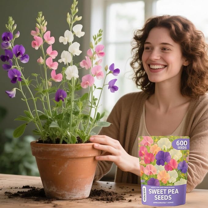 600+ Count Sweet Pea Seeds – Fragrant Flower Seeds, Easy to Grow with High Germination, Colorful Flowering Vines for Trellis, Garden Beds, Balcony, and Patio Planter