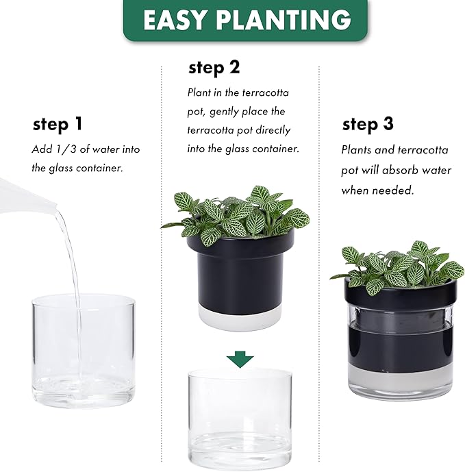 Phoenix Vine 4 Inch Self Watering Planter Pot, Black Terracotta Clay Pot with Glass Reservoir for Indoor Plants, Herbs, Flowers, Set of 2, 52-C-E-2