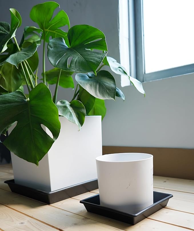 Square Plant Saucer 8 Inch 2 Pack 6 8 10 12 14 16 18 20 Inch, Plant Trays for Pots Heavy Duty Plastic Plant Saucers for Indoors Outdoors, Flower Pot No Holes Plant Drip Trays