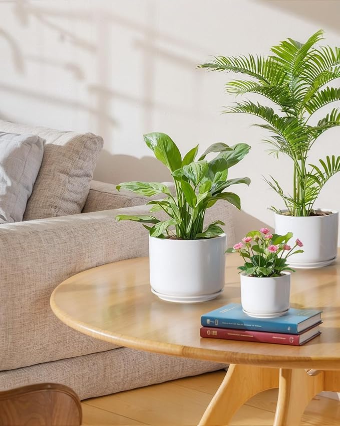 EFISPSS Plant Pots, 4+5+6 Inch Pots for Indoor Plants, Ceramic Planter Pot with Drainage Hole, Flower Pots for Succulent Cactus, Set of 3 - White