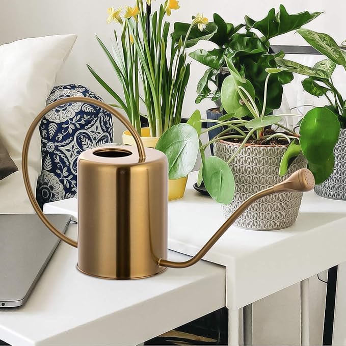 1/2 Gallon 68oz Long Spout Stainless Steel Gold Colored Watering Can for Indoor Plant Watering or Outdoor Gardening with 2 Removable Spray Spout for Flowers, Medium