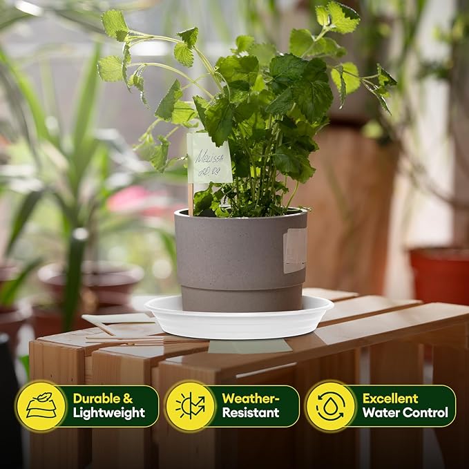 6 Pack Plant Saucer, 8 10 12 inch Plant Saucers for indoor, Heavy Duty Plastic Plant trays for pots, Grow Bags, Bird Baths, Flower Drip Trays for Indoor and Outdoor Uses (10", White)