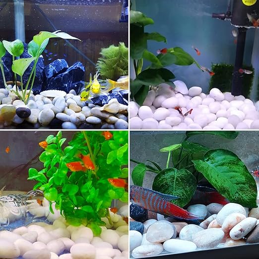 2LB Polished White River Rocks,1-2.2 Inch Pebbles for Plants Stones for Landscaping Pebbles for Fish Tank Garden Vase Filling Pebbles Outdoor Decorative River Rocks