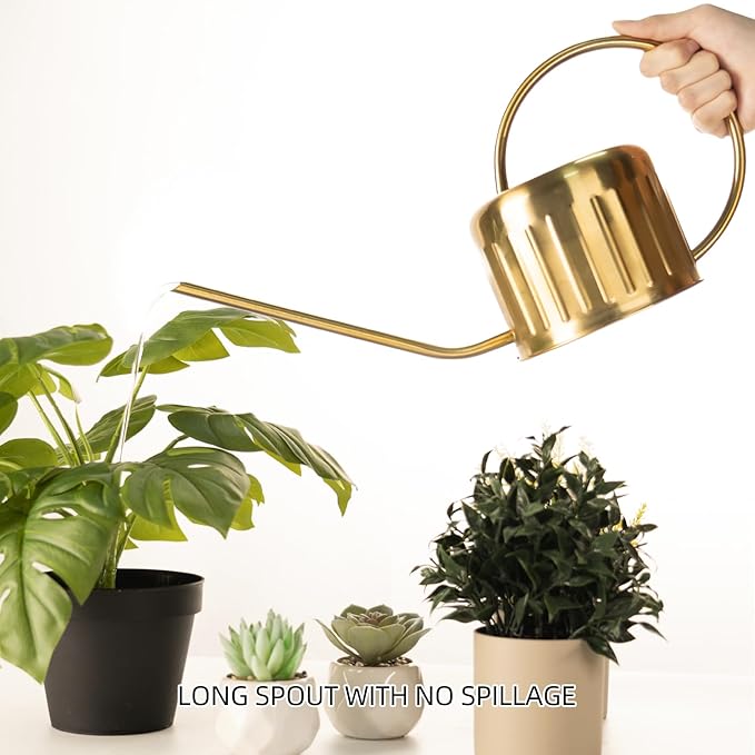 34oz/1L Stainless Steel Watering Can, Rust-Proof Indoor/Outdoor Watering Can for House Plants, Long Spout Water Can for Succulent Bonsai Garden Flowers (Gold Color)
