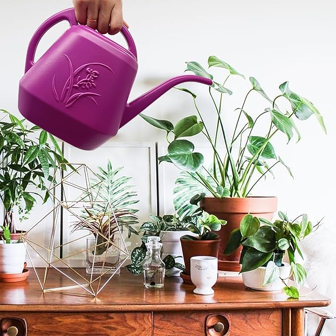 Plant Watering Can - Rose Red - 1/2 Gallon