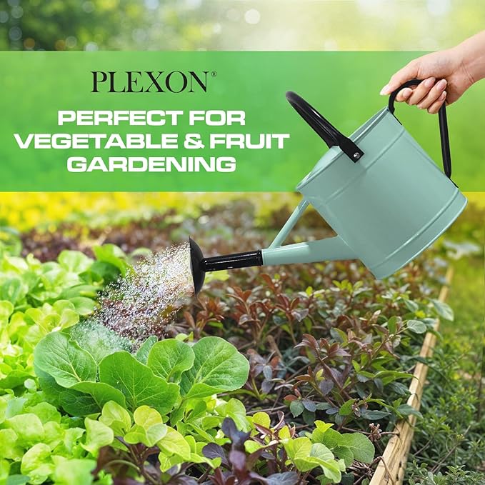 Plexon 1 Gallon Metal Watering Can Outdoor, Flower Plant Gardening Garden Large Watering Can Pot, Black Galvanized Steel Handles and Removable Spray Spout, Aqua Mist Blue