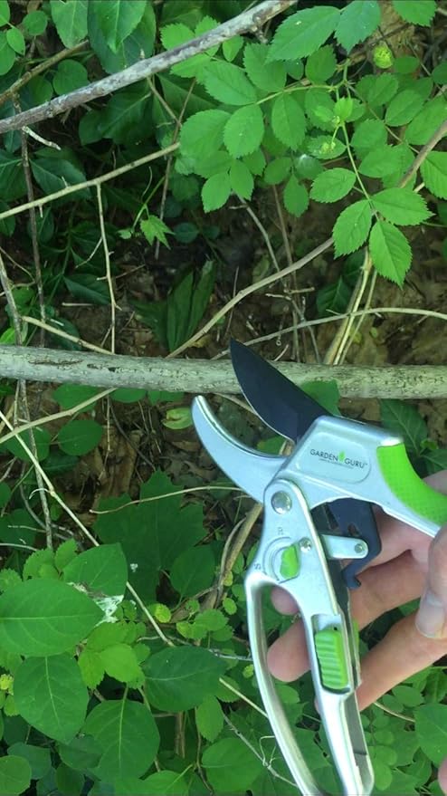 GARDEN GURU 2 in 1 Ratchet Pruning Shears Clippers – 4X Cutting Power – Ratcheting Garden Anvil Pruners Scissors - Makes Tough Cuts Easy - Great for Seniors & Arthritic Hands - 1 Case (50 Pcs)
