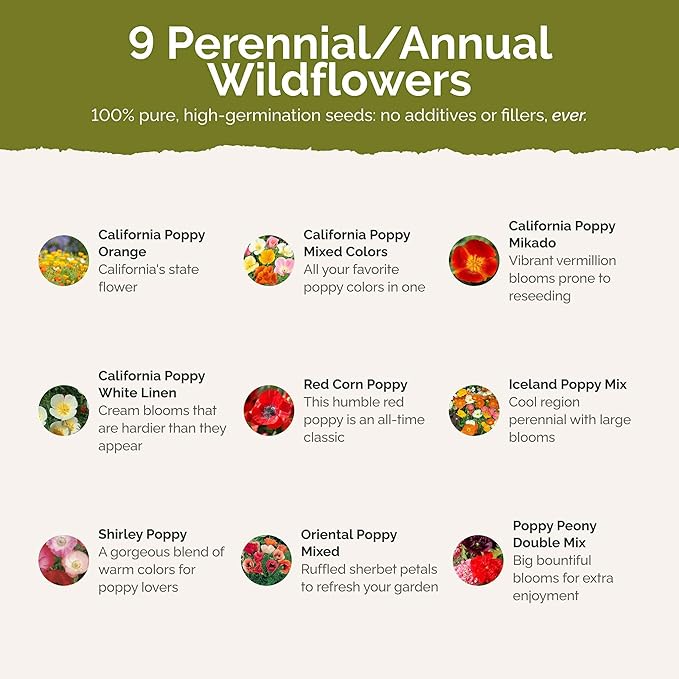 Eden Brothers Poppy Power Flower Mixed Seeds for Planting, 1 lb, 480,000+ Seeds with Red Corn, Iceland, California Poppy | Attracts Pollinators, Plant in Spring or Fall, Zones 3, 4, 5, 6, 7, 8, 9, 10