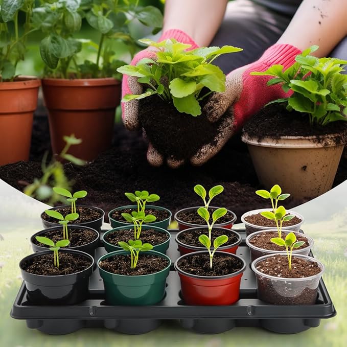 12 Cell Round Nursery Pot Trays Thickened Durable Seedling Pots Shuttle Carrying Trays for Holding 4 Inch Nursery Pots (16.85" × 12.6", 20-Pack)