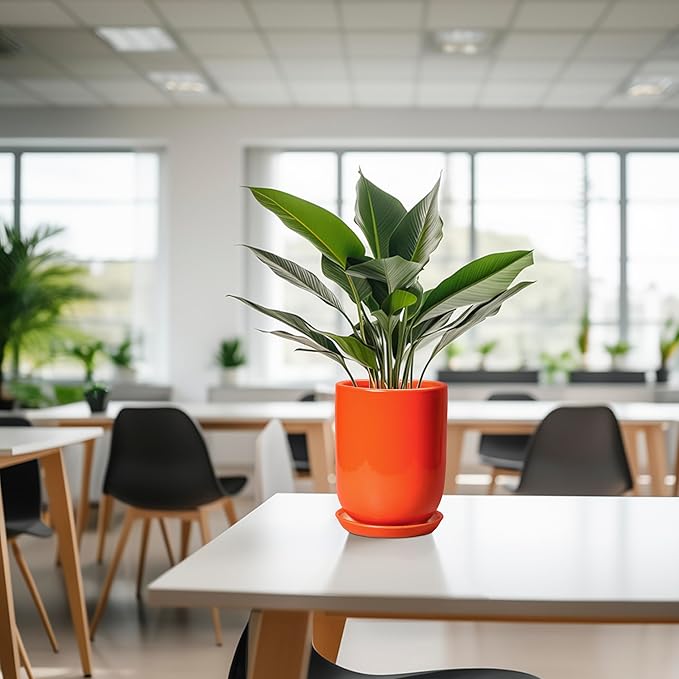 Ceramic Planter - 8 Inch Plant Pot with Drainage Hole and Saucer, Cylinder Round Modern Flower Pot for Indoor Outdoor Plants, Plant Lover Gifts, Garden Office Home Decor, Orange