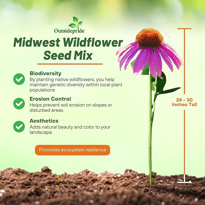 Outsidepride Midwest Wildflower Seed Mix - 1 Lb. Premium Blend of Annual & Perennial Native Wildflower Seeds for Midwestern States, Attracts Pollinators, Low-Maintenance, Ideal for Meadows & Gardens