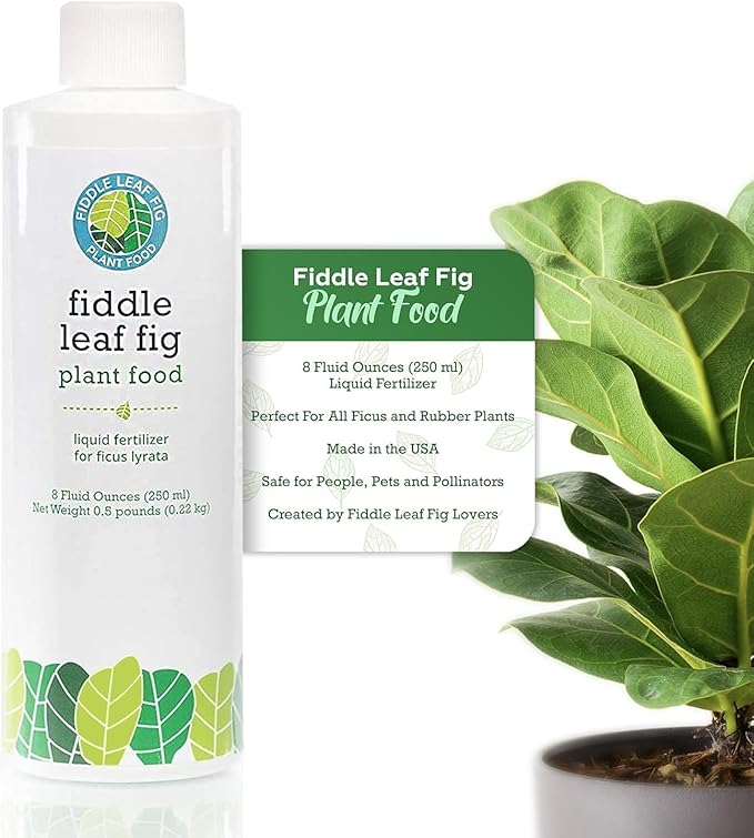 Fiddle Leaf Fig Plant Food – 3‑1‑2 Balanced NPK Liquid Fertilizer for Larger Leaves, Stronger Roots & Steady, Vibrant Growth | Suitable for All Ficus Including Ficus Lyrata | Made in USA | 8 oz
