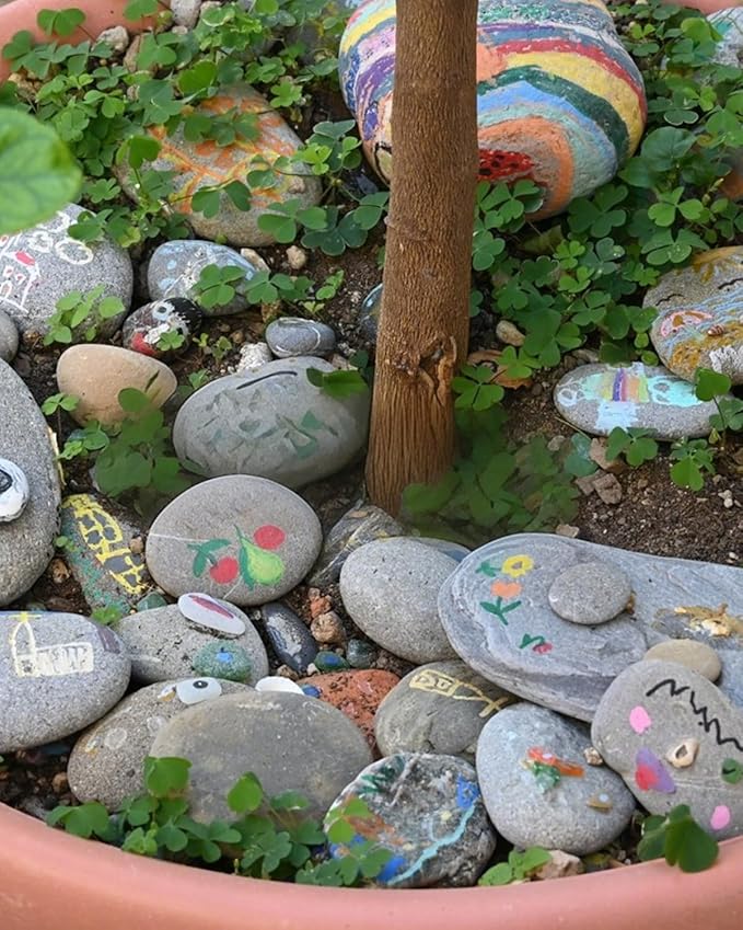 Natural River Rocks-5 lbs of Pebbles and River Stones,1-2 Inch Plant Rocks for Landscaping,Garden Paving,Crafting,Walkways,and Outdoor Decorative Stone,Mexican Beach River Rocks