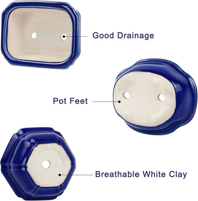 Bonsai Planter Succulent Mini Glazed Pots Value Set of 4, with 4 Soft Mesh Drainage Screens