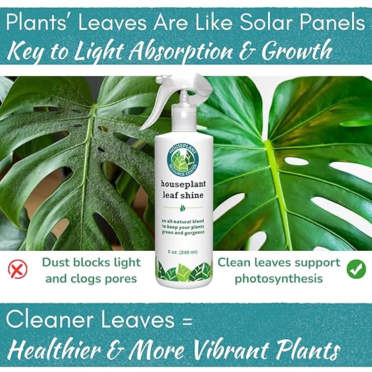 Houseplant Leaf Shine Spray – All-Natural Leaf Cleaner and Gloss for Healthy Shine & Better Photosynthesis | Perfect for House Plants and Foliage | 8 oz