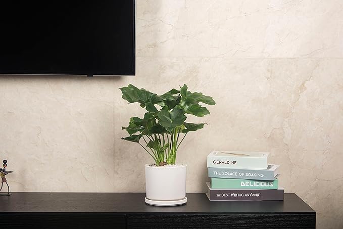 Ekirlin 5 inch Plant Pots,Ceramic Flower Planters Indoor,Modern Succulents Containers with Drain Hole Saucer,Decorate Home,Office & Outdoor (White)