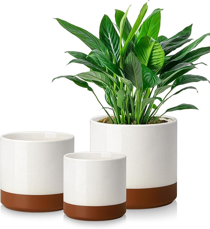 vancasso 6"+8"+10" Ceramic Pot for Plants, Large Outdoor Indoor Planter Pots with Drainage Holes, Set of 3, Khaki