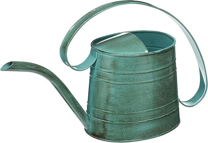 ROBERT ALLEN MPT01505 Danbury Metal Watering Can, Surf Light Blue