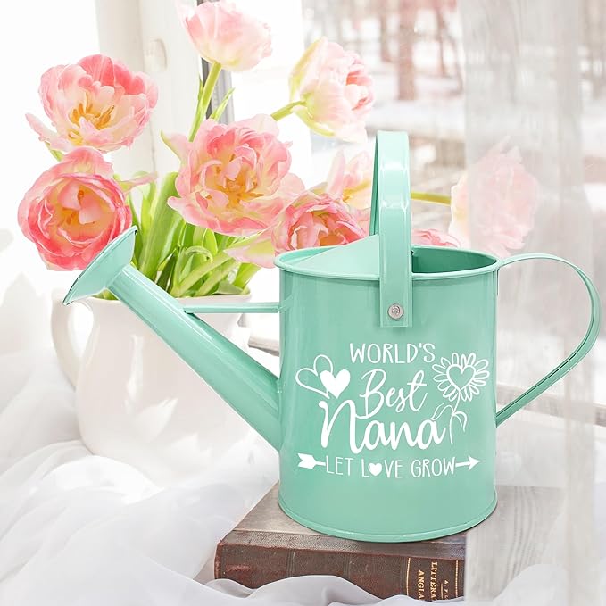 Hexagram Nana Gifts, Birthday Gifts for Nana, Gardening Present for Nanna, Mint Metal Watering Can for Grandma, Best Nanna Watering Can from Grandkids, Nonna Christmas Mothers Garden Present Idea