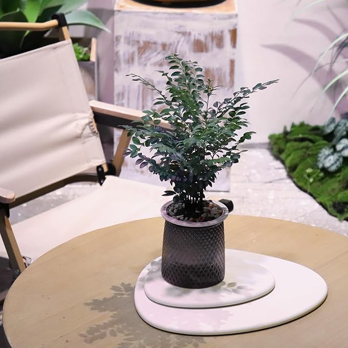 Elfcool Plant Saucer Quick Dry Absorbent Flower Plant Pot Saucer Dirp Tray Diatomaceous Earth Plant Mat for Indoor Outdoor Plants (12''-Off White-1pack)