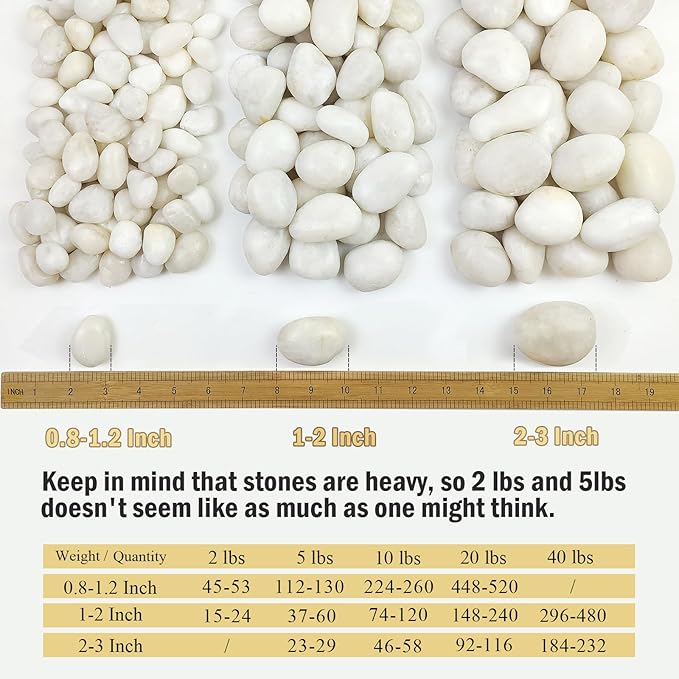 5 lbs Large White River Rocks, 2-3 inch Pebbles for Indoor Plants, Polished Decorative Stones for Planters Vase Aquarium and Outdoor Garden Landscaping Rocks