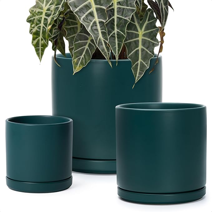 D'vine Dev 6 Inch & 8 Inch & 10 Inch, Set of 3 Round Ceramic Planter Pot with Drainage Hole and Saucer, Teal, 94-T-L-9