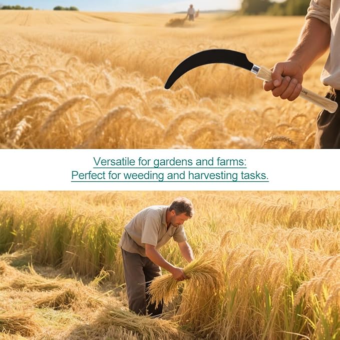 Berry&Bird Grass Sickle with Sawtooth, Heavy Duty SK5 Carbon Steel Blade Sickle Knife Scythe Garden Tool, Brush Clearing Sickle Weeding & Harvesting Tool for Gardeners/Farmers - Ashwood Handle