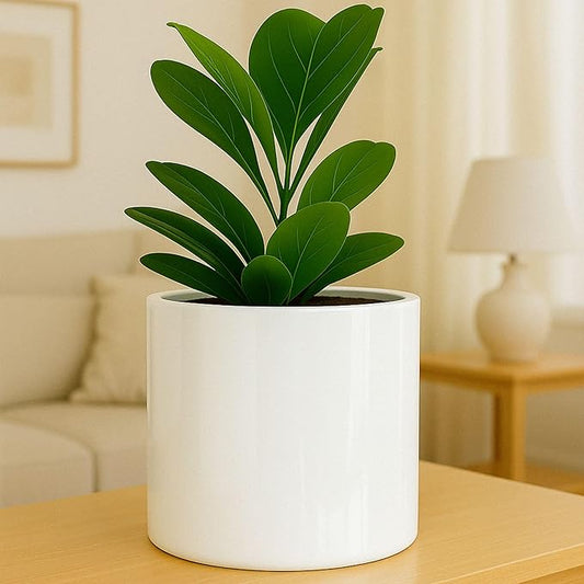 Fox & Fern Large 12 Inch Planter — Premium Lightweight Fiberstone Glossy White Plant Pot; Drainage Plug; Large Indoor & Outdoor Floor Planter; 12 Inch Pots for Plants; Weather Resistant & UV Resistant