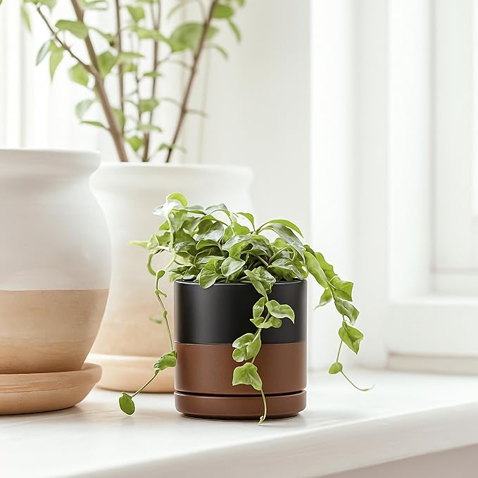 D'vine Dev Set of 3 Plants Pots, 3.5 Inch Ceramic Planter Pot for Plants with Drainage Hole and Saucer, Black/Speckled Tan, 94-N-A-7