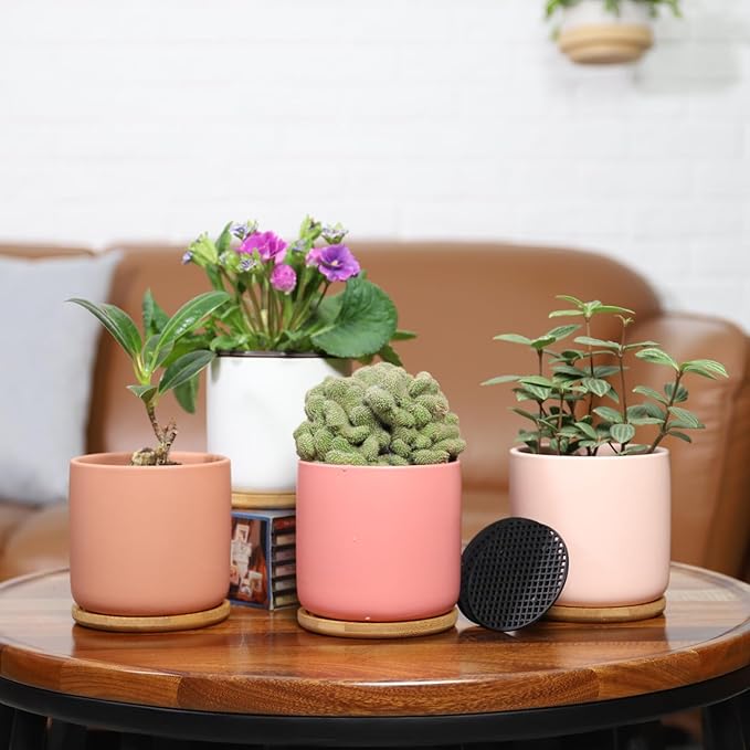 4 Inch Ceramic Plant Pots with Drainage Holes and Trays, Adorable Small Cylinder Flower Planter Pot with Saucers for Indoor Plants, Succulent, Snake Plants, Cactus & Herbs, Multicolor, Set of 4