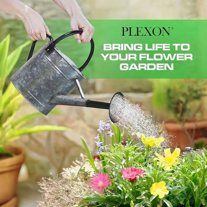 Plexon 1 Gallon Metal Watering Can Outdoor, Flower Plant Gardening Garden Large Galvanized Watering Can Pot Pitcher, Steel Black Handles and Removable Spray Spout