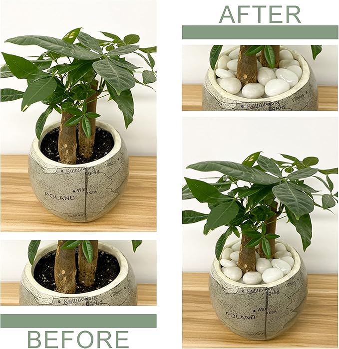 2 lbs Small White Pebbles for Plants, 0.8-1.2 inch Decorative River Rocks for Plants, Aquariums, Landscaping. White Stones for Planter Vase and Outdoor Garden Rocks