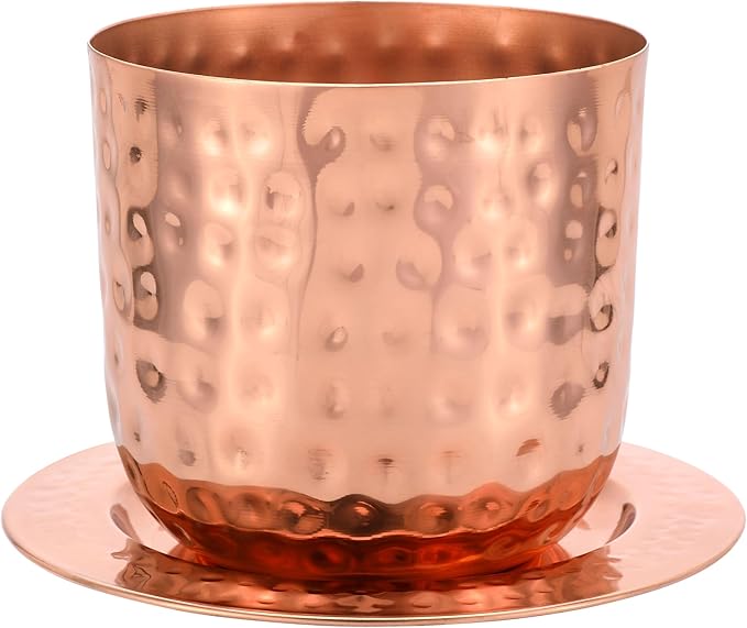 Glytterati - Indoor Watering Can and Planter with Plate.