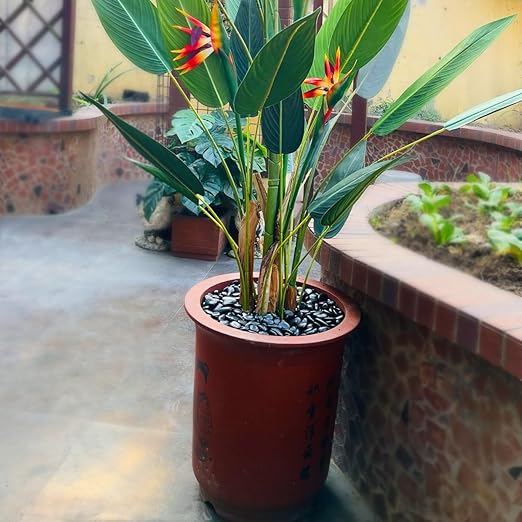 2LB Succulent and Cactus Black Pebbles, 3/8 Inch Natural Decorative Polished Stones, River Rocks for Indoor Plants, Vases, Planters and Outdoor Gardening