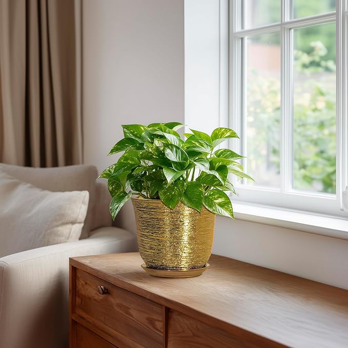 5.6 Inch Plant Pot - Ceramic Planter for Indoor Outdoor, Round Succulent Orchid Pot with Drainage Hole and Plant Saucer, Modern Decorative Planters, Living Room Decor, Gifts for Women, Gold