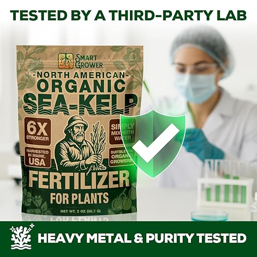 Organic Sea Kelp Fertilizer for Plants – Water-Soluble – Makes 200 Gallons – Kelp Meal Concentrate Plant Food – for Indoor Gardens, Hydroponics, Vegetables, Houseplants - Smart Grower - 8oz Bag