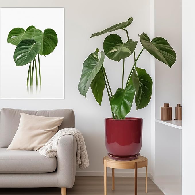 Ceramic Pots for Plants - 12 Inch Plant Pot Indoor with Drainage Hole and Saucer Large Planter Outdoor Flower Pot for Home Patio Office Decor Red