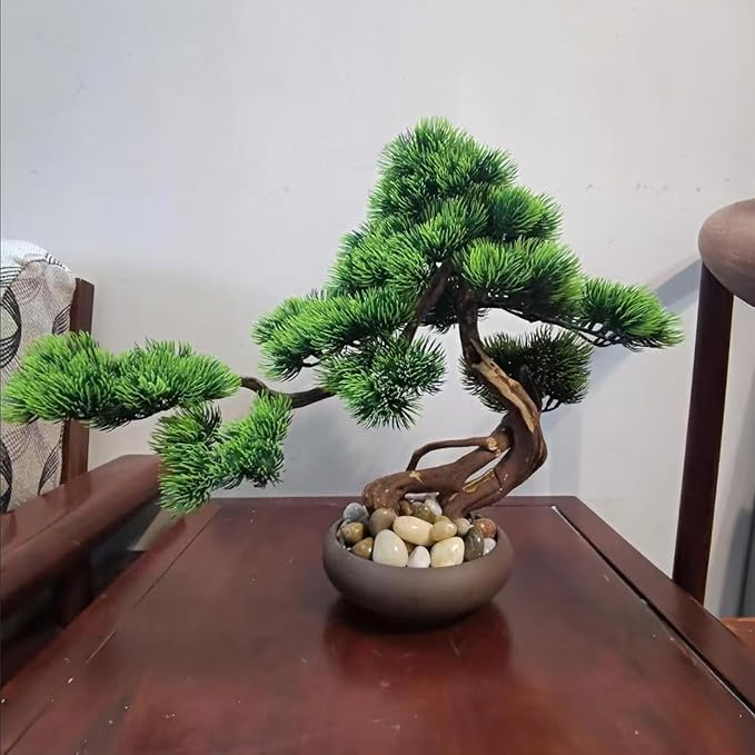 40 lbs River Rocks Pebbles 1-2 Inch Polished Decorative Stones Natural Pebbles for Plants,Aquarium Gravel,Vase Fillers,Zen Garden & Succulent Bowl - Smooth Indoor/Outdoor Landscaping Stones