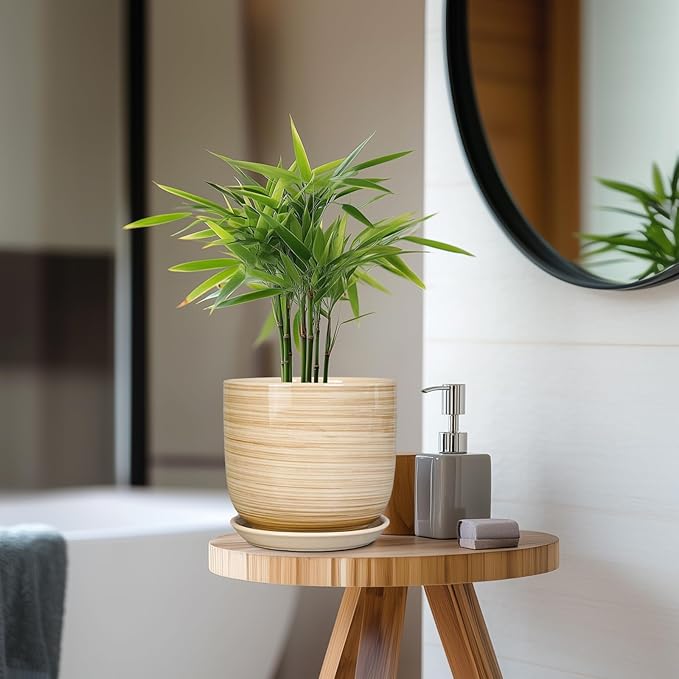 Ceramic Planter for Indoor Plants 7 Inch - Cylinder Modern Indoor Plant Pot with Drainage Hole and Saucer, Home Patio Office Bathroom Decor, Yellow