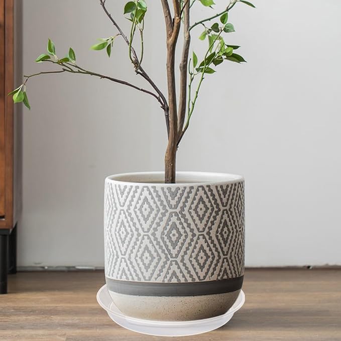 6 8 10 inch Clear Plant Saucer, Heavy Sturdy Plastic Planter Trays Pot Tray for Indoor Outdoor, Plant Water Plate Drip Trays for Pots, 12 Pcs