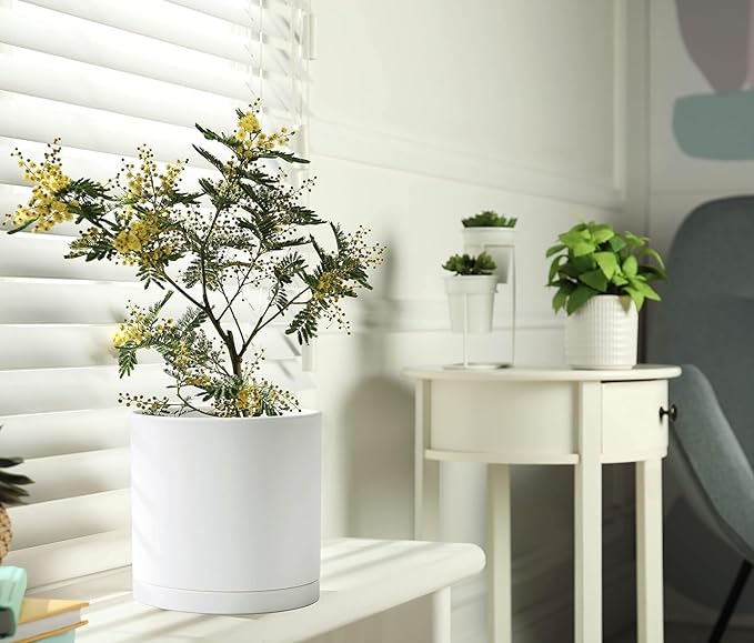 D'vine Dev 2 Pack 8 Inch Modern Plastic Plant Pots, Small Garden Planters for Plant with Drainage Holes and Saucers, White Color, 74-Z-M-1