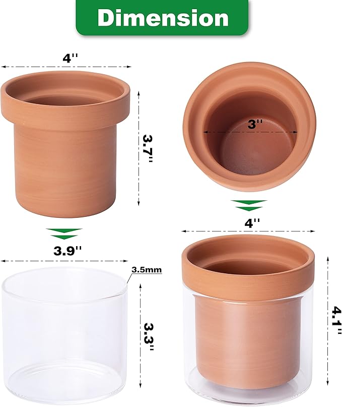 Phoenix Vine 4 Inch Self Watering Planter Pot, Terracotta Clay Pot with Glass Reservoir for Indoor Plants, Herbs, Flowers, Set of 2, 52-A-E-2