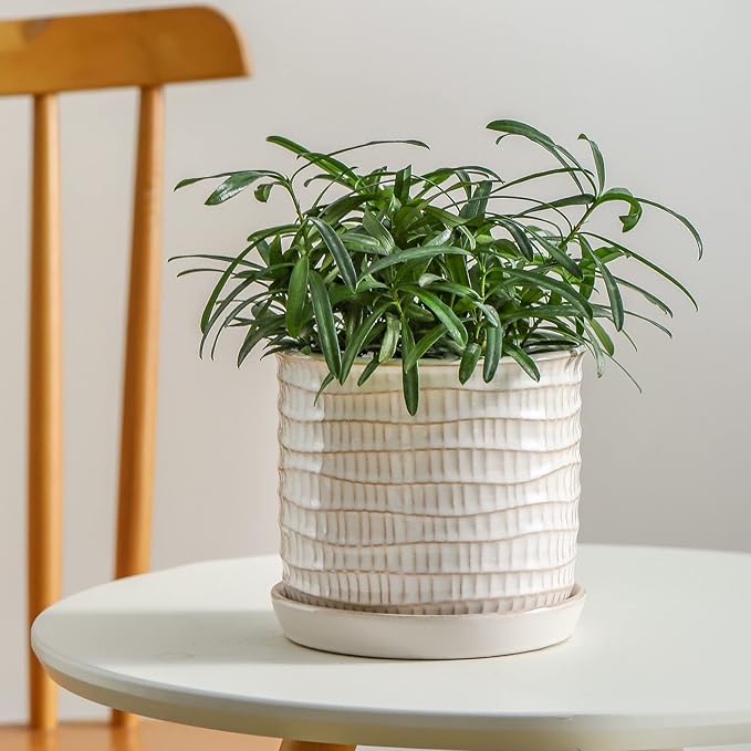 5.8 Inch Plant Pot: Ceramic Planter with Drainage Hole & Saucer for Indoor Outdoor Plants - Flowerpot with Bonded Tray for Home Office - Wave Embossed