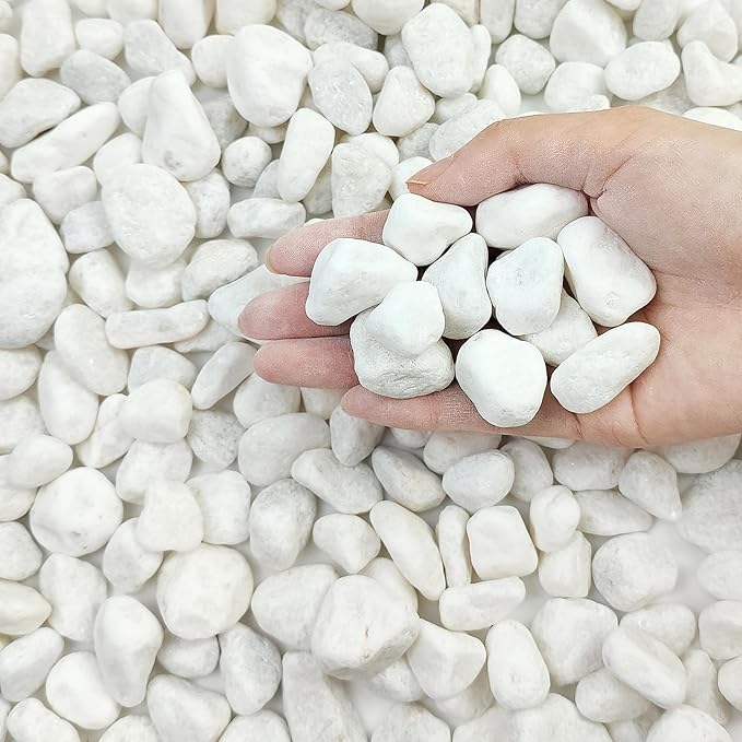 5 lbs White Pebbles for Indoor Plants, 0.5-1 Inch Pea Gravel Stones for Planters, Decorative River Rocks for Succulent, Cactus, Vases, Aquariums, Crafting and Garden Landscaping