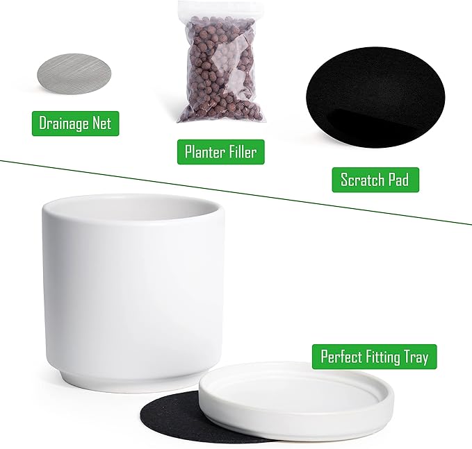 D'vine Dev Set of 2 Plants Pot, 4.6 Inch Ceramic Planter Pot for Plants with Drainage Hole and Saucer, White, 94-V-B-1