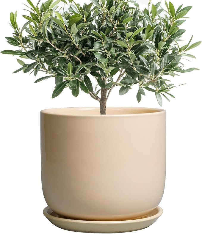 Ceramic Planter - Round Modern 8 Inch Plant Pot with Drainage Hole and Saucer for Flowers Herb, Home House Office Room Apartment Decor, Yellow